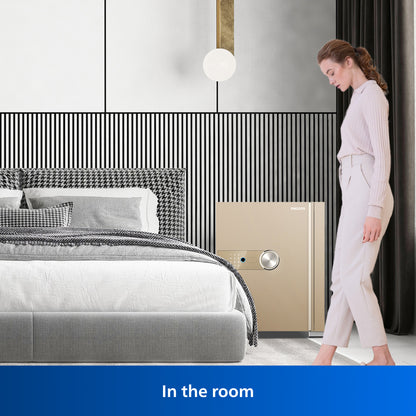 Philips Smart Safe SBX202-5C0