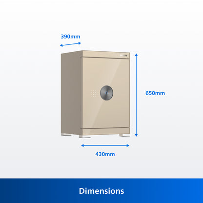 Philips Smart Safe SBX602-6CU